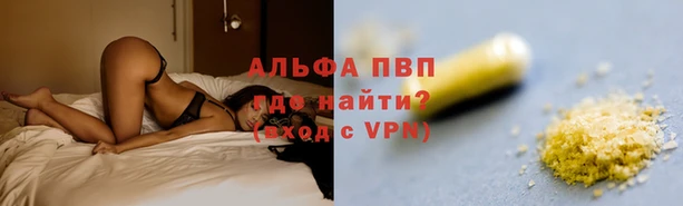 spice Арсеньев
