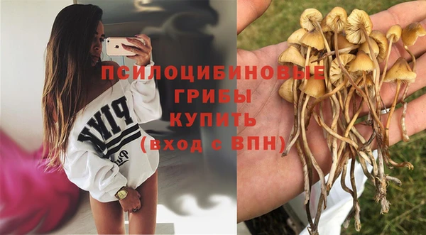 герыч Балахна