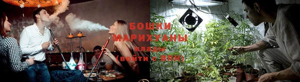 spice Арсеньев