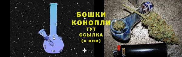 ПСИЛОЦИБИНОВЫЕ ГРИБЫ Армянск
