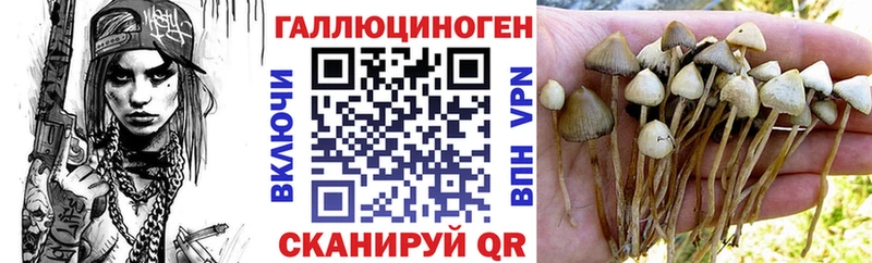 darknet какой сайт Саянск Галлюциногенные грибы прущие грибы что такое наркотик OMG зеркало
